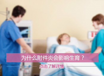 立式螺帶混合機-日本大野機械產品